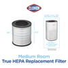 Clorox Medium Room Air Purifier True HEPA Replacement Filter, 1,000