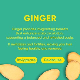 MARS MADE Ginger Shampoo Bar 2.0 - Hydrating & Moisturizing Natural Hair Soap Bar Shampoo for Hair Vitality & Scalp Nourishment - Bathing Soap Solid Shampoo for All Hair Types (120g, 4.23oz)