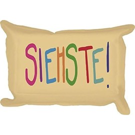 Wisch - Schwamm aus Microfaserglastuch "Siehste"