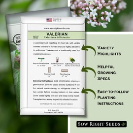 Sow Right Seeds - Valerian Seeds for Planting - Non-GMO Heirloom Packet with Instructions to Plant an Outdoor Herb Garden - Fragrant with Medicinal Benefits - Valerian Root for Sleep & Calm (1)