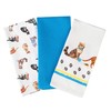 SiXsigma Sports Cat Tea Towels 100% Cotton Decorative Kitchen Cooking