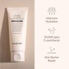 Crema Multiusos Deepondé Everyday Everybody Quick 2.02 Onzas Líquidas
