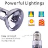 Aiicioo Intense Basking Bulb Spot Lamp - 2 Pack Heat
