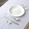 Nagao Antibacterial Dinner Cutlery Set, 5 Pieces, 18-8 Stainless Steel