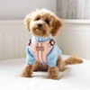 Charlie + Co, Adjustable Step in Dog Harness, Comfortable Breathable