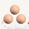 20pcs Wooden Round Balls Unfinished Wood Craft Balls Hardwood Birch