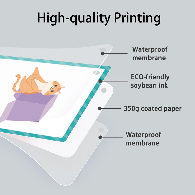 Lachilly Prepositions English Words Learning Flashcards, High Frequency Words, Beginning