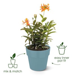 elho B.for Original Round 22 - Flower Pot for Indoor - 100% Recycled Plastic - Ø 22.0 x H 20.3 cm - Yellow/Ochre