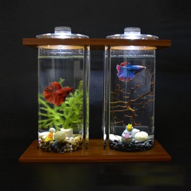 Creative Bamboo & Wood Ecological Fish Tank - Dual Glass Desktop Mini DIY Betta Fish Tank Aquarium