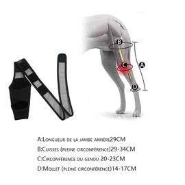 Taicols Elbow Protector for Dogs and Dogs, Rear Leg Support for Paws, Dogs, Licking in All Safety, Harness for Dogs, Leg Cuffs