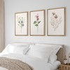 Ashbrook Framed Canvas Print Wall Art Set Pastel Flower Variety