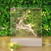 Hordion 6 Pcs Acrylic Sheet Clear Cast Square Panels, 0.08"