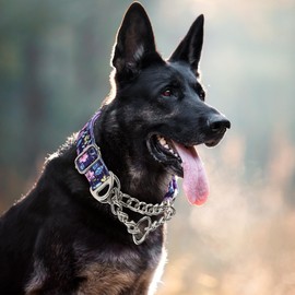 Martingale Dog Collar with Steel Chain, Adjustable Reflective Nylon & Soft Padded - for Medium, Large, XL, XXL Dogs for Training,Walking Pet Collar (Purple Flowers M)