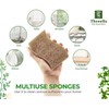 12 Pieces Natural Biodegradable Heavy Duty Scouring Pad Scratch Resistant