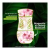 Airwick Aromatizante de Ambiente Continuo, Magnolia & Cherry Blossom, 3