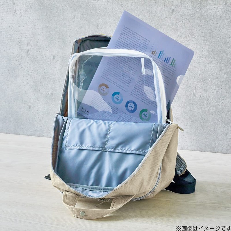 LIHIT LAB Clear Box Case A4 Frost Clear SOERU F8201-1