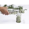 Yarrow Herb Tea (Millefolii Herba - Achillea millefolium L.) -