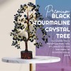AstraVeda Black Tourmaline Tree, Crystal Tree, Tree of Life, Chakra