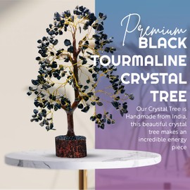 AstraVeda Black Tourmaline Tree, Crystal Tree, Tree of Life, Chakra Tree, Feng Shui Tree, Healing Crystal, Gemstone Tree, Crystal Gifts, Healing Stones, Spiritual Gift