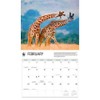 Carousel Calendars, Giraffes WWF 2026 Wall Calendar, 12.01'' X 14.09'',