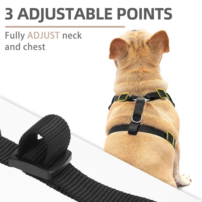 PUPTECK Small Dog Harness and Leash Set, No Pull Adjustable