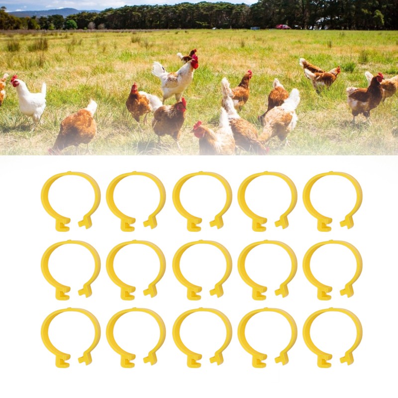 100PCS Chicken Ankle Rings Reusable Plastic Duck Leg Bands Clips