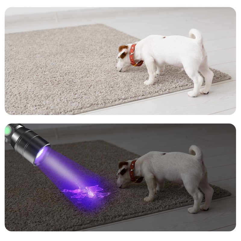 COSOOS 2 Pack UV Flashlight Black Lights, USB Rechargeable UV
