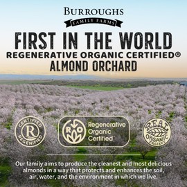 USDA Organic Crunchy Almond Butter, 14 oz – No Palm Oil, No Sugar Added Almond Nut Butter – 2x the Antioxidants and Vitamin B Versus Other Nut Butter – First Regenerative Organic Certified