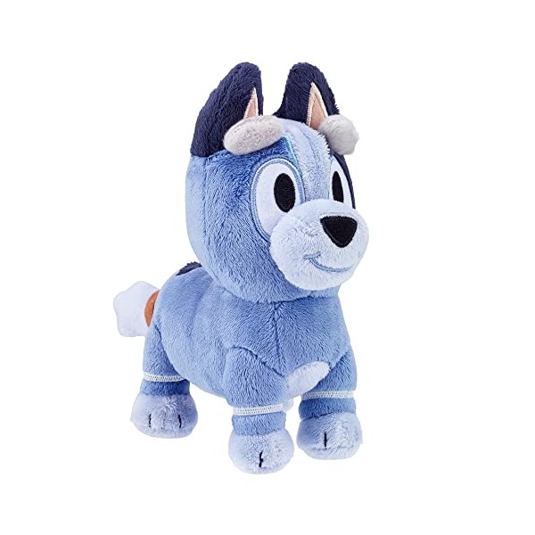 Bluey Plush Socks Bluey Friends New Character 2021 Toddler Kids