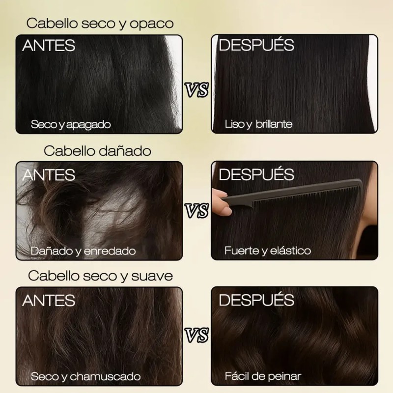 Ayvanna Rêver Shampoo Aceite Capilar Para Mejora Las Puntas Secas