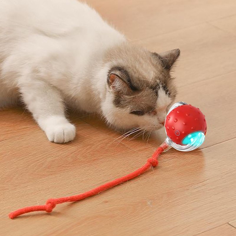 Indoor Cat Interactive Ball | Chirping Lighted Self-Moving Cat Ball
