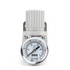 SNS Compressed Air Maintenance Unit Regulator 1/4 Inch 0-10 Bar