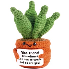 Positive Crochet Aloe Vera Emotional Crochet Plant So are You Mothers Day Birthday Gifts for Women Mom Inspirational Gift for Friend Coworkers Funny Nuggets Sunflower Succulent