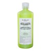 Florigan Shampoo Bergamota Elementos Concentrados Florigan® 1lt.