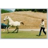 Coral-Lee First Lady Nancy Reagan Gets Exercise as She Corrals
