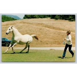 Coral-Lee First Lady Nancy Reagan Gets Exercise as She Corrals President's Horse Postcard