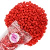 Smarty Stop Sweet and Salty Red Candy French Burnt Peanuts