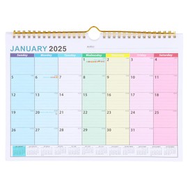 Amexo Calendar 2025, 30 × 22 cm Wall Calendar 2025 Calendar 2025/26 18 Months Calendar 2025-2026 from January 2025 to June 2026 with Binding Hook for Home Office Planning (Mixed Color)