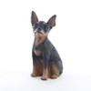 Conversation Concepts Miniature Pinscher Tan & Black Tiny One Figurine