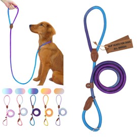 Bee N Buu Dog Leash - Slip Leads for Dogs, 5 FT Pet Training Leash, Strong Heavy Duty Braided No Pull Loop Rope Training Lead Leashes for Small, Medium, Large Breeds, Purple & Blue