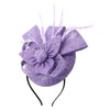 Biruil Fascinators Hat for Women Girls Sinamay Flower Feathers Tea