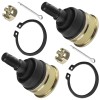 Honda 2 Lower A-Arm Ball Joint for Honda TRX250EX Sportrax