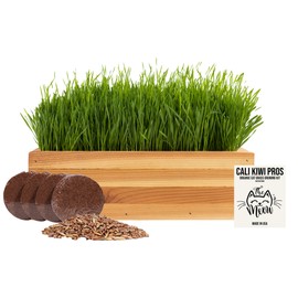 CALI KIWI PROS Organic Indoor Cat Grass Kit – Handcrafted Cedar Planter with Fast-Growing Wheatgrass for Cats - Enjoy Hairball Remedy with Our Pet-Friendly Cat Grass Planter (Natural)