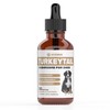 Turkey Tail Mushroom for Dogs | Helps to Boost the