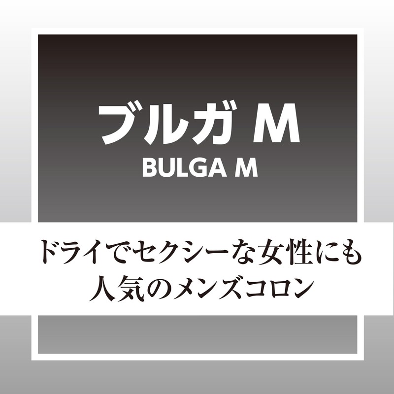 晴香堂(HARUKADO) カーオール 車用 芳香剤 ハネア 3個パック ブルガM 7.5gx3個 A-476