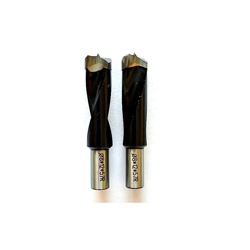 igooo Dual-Spindle Doweling Jointer DJ710， 2X10mm Drilling Bits