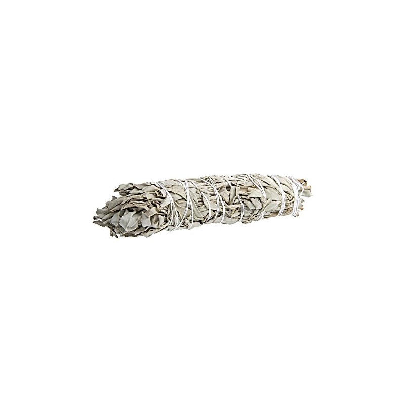 Native American Indian Californian White Sage Wand 9"