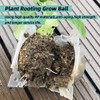 HAIZHINA Air Layering Pods, Reusable Plant Rooting Device - Grow
