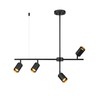 Globe Electric 64000048 4-Light Adjustable Height Geometrical Track Lighting, Matte
