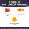 Nasturtium Seeds – Mixed Colors – Extra Large Packet –